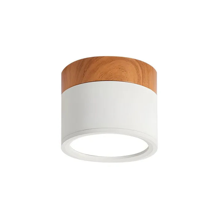 Cylindra - Nordic LED Ceiling Lamp