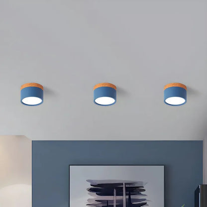 Cylindra - Nordic LED Ceiling Lamp