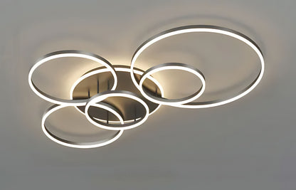 Aerial Ceiling Lamp