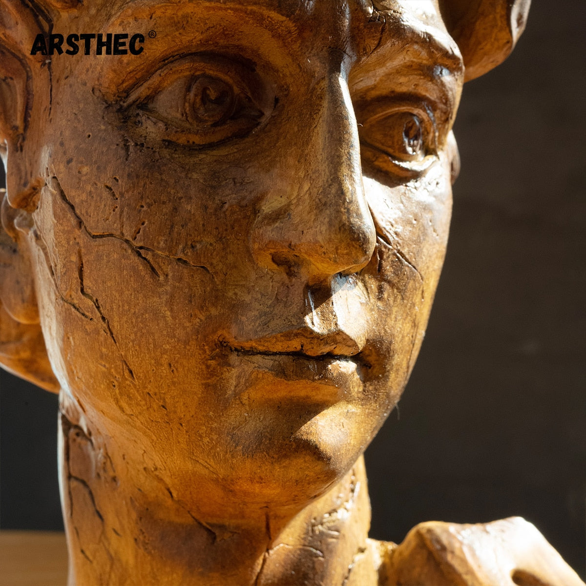 David Art Sculpture - Arsthec®