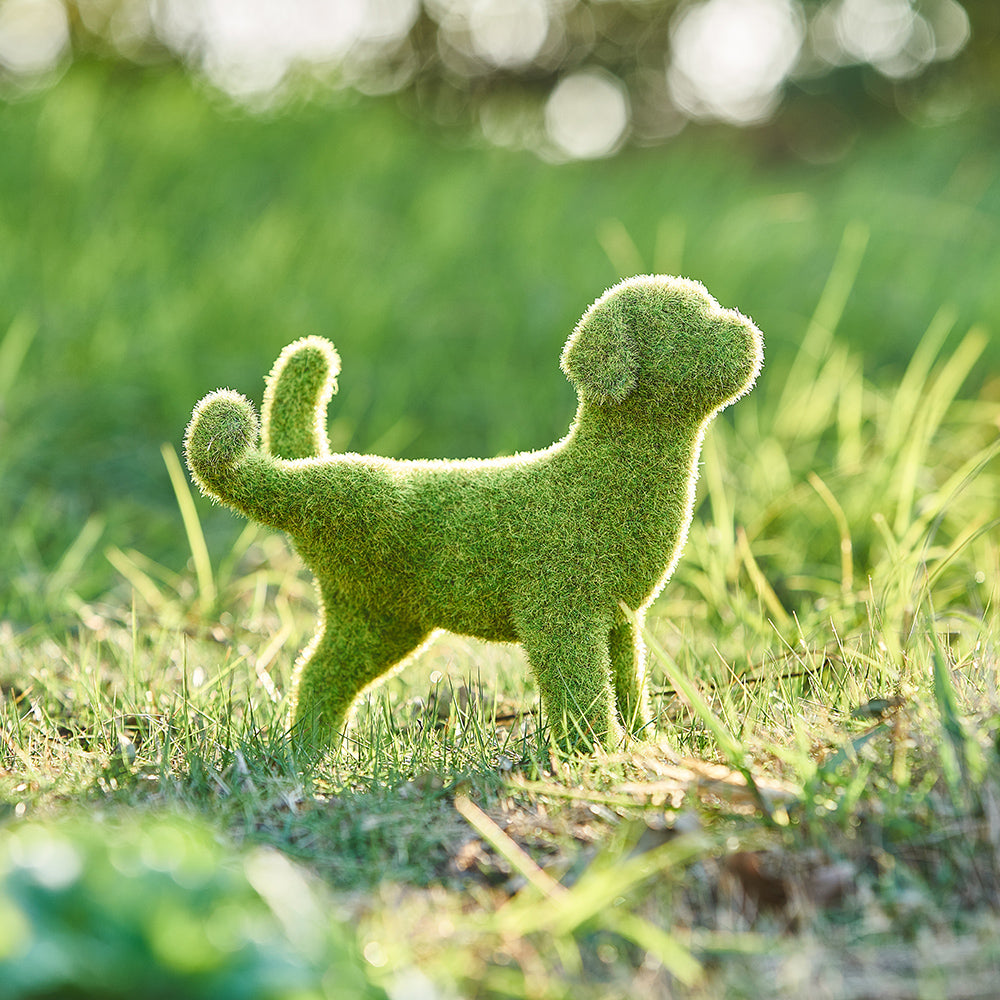 Garden Puppy Decor