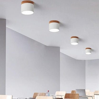 Cylindra - Nordic LED Ceiling Lamp