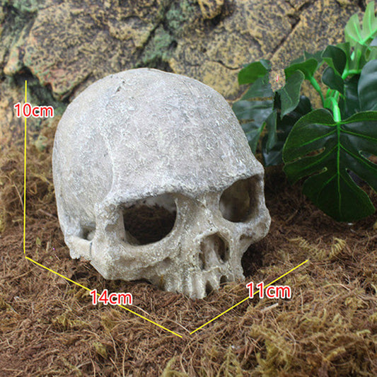 Head Bone Skull Ornament