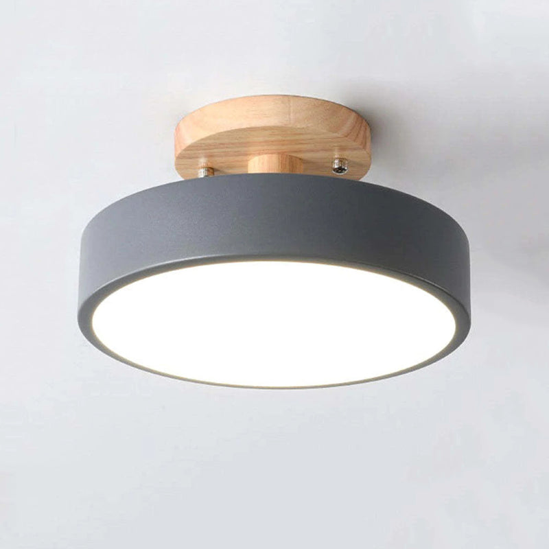 Quinn Modern LED Ceiling Lamp