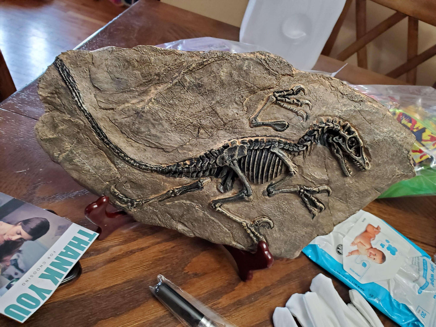 Dinosaur Fossil Decor