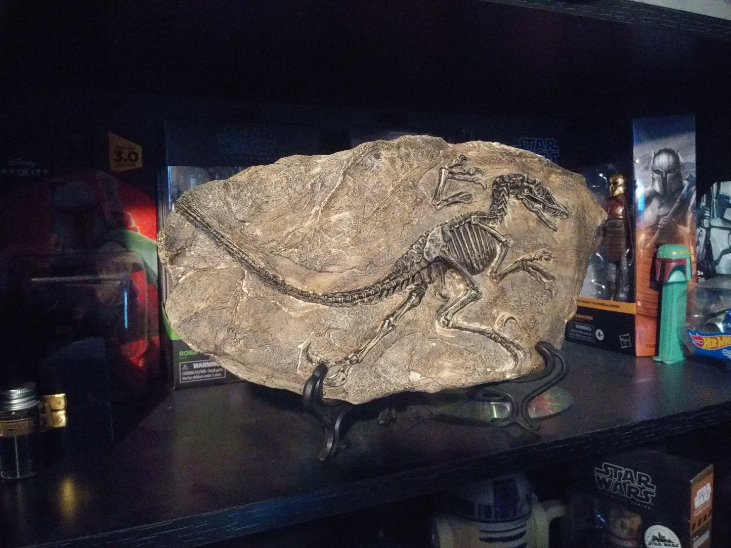 Dinosaur Fossil Decor