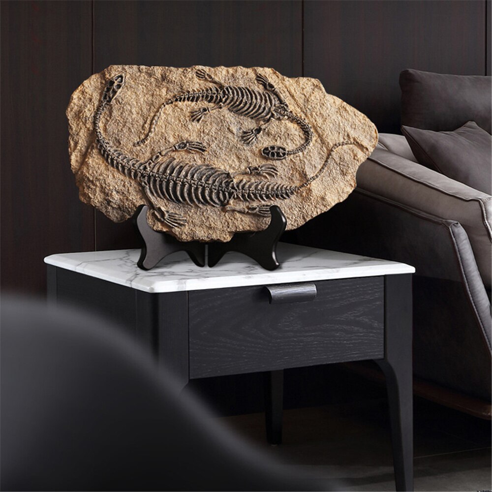 Dinosaur Fossil Decor