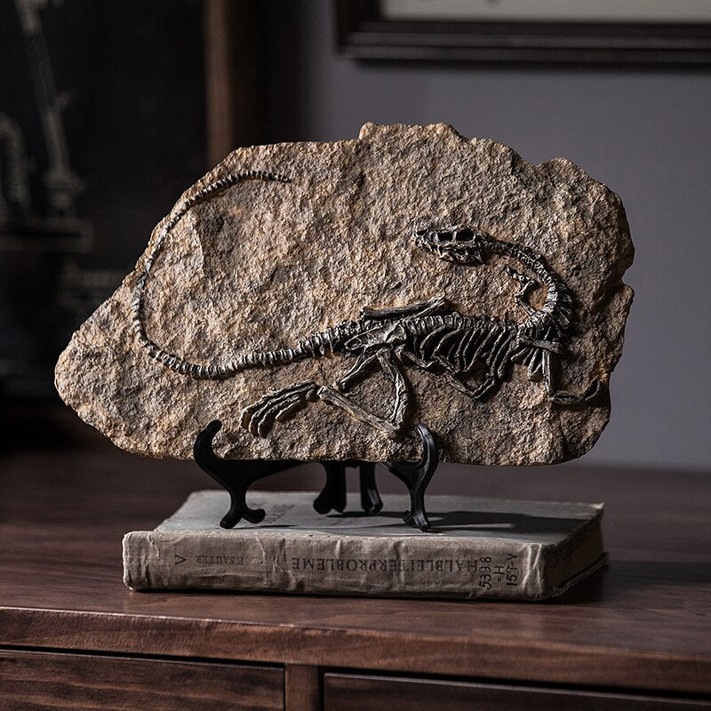 Dinosaur Fossil Decor