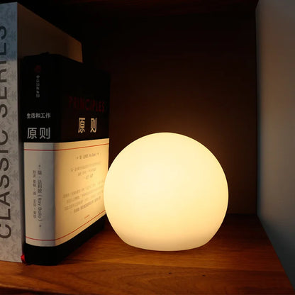 Table Globe Lamp