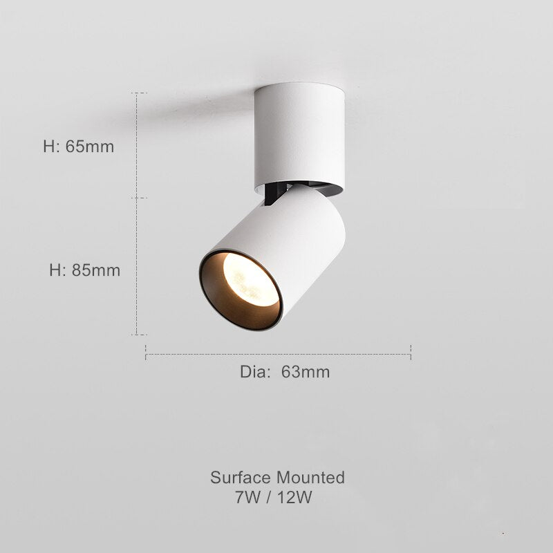 Adjustable Round Surface Mounted Downlight