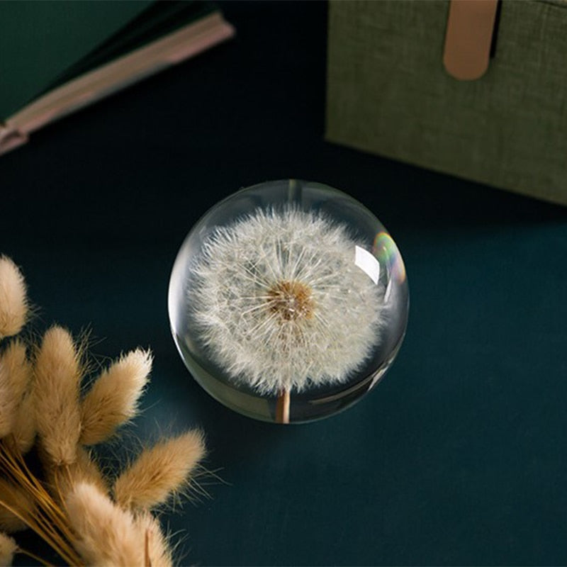 Miravique I See A Bright Future Dandelion Crystal Ball