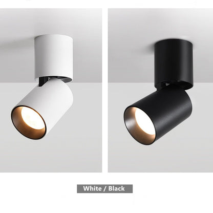 Adjustable Round Surface Mounted Downlight