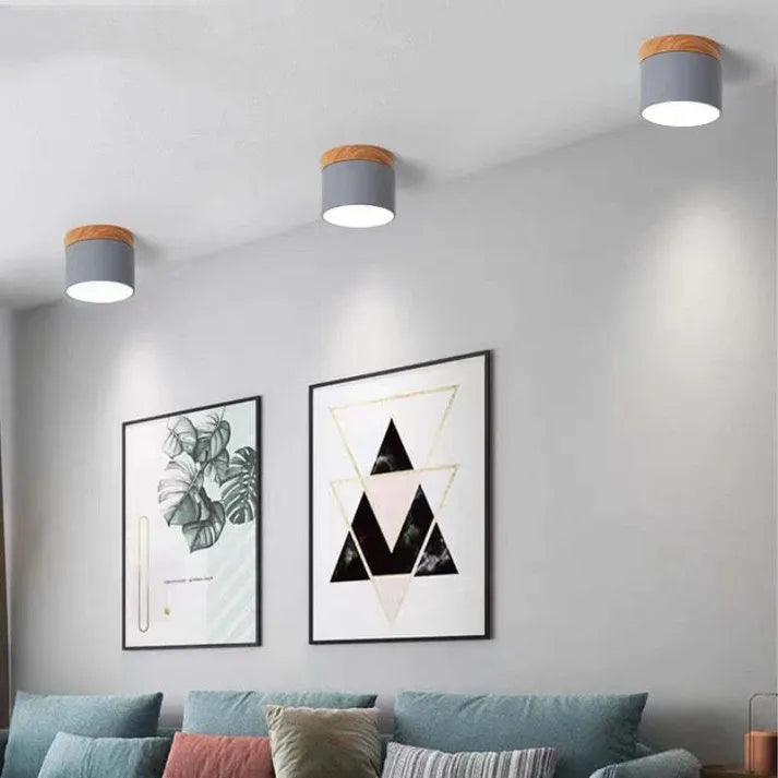 Cylindra - Nordic LED Ceiling Lamp