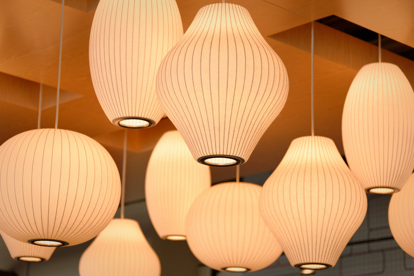 Miravique Bubble Pendant Lamp