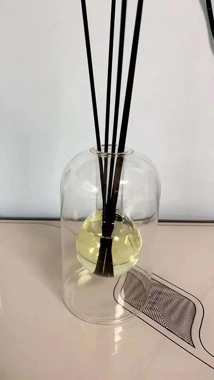 Modern Glass Aromatherapy Diffuser Bottle