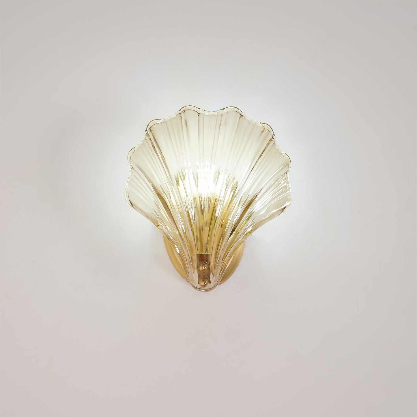 Shell Wall Lamp - Bring the Sea to Your Interior