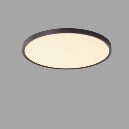 Waterproof LED Ceiling Light for Bathrooms lamp