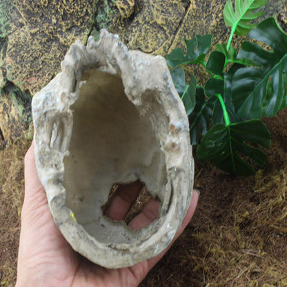 Head Bone Skull Ornament