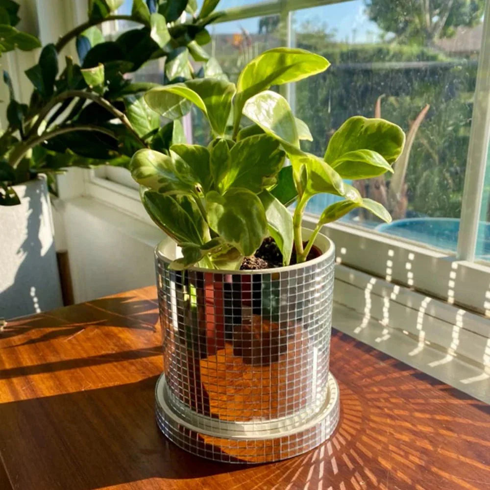 Ceramic Disco Mirror Ball Planter Pot