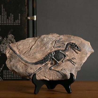 Dinosaur Fossil Decor