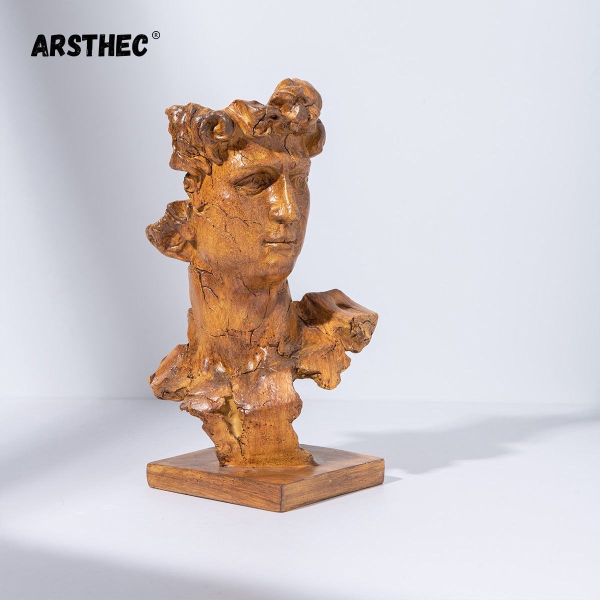 David Art Sculpture - Arsthec®