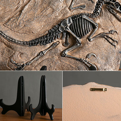 Dinosaur Fossil Decor