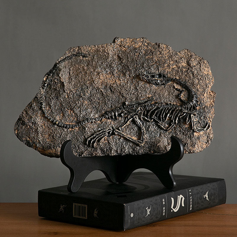 Dinosaur Fossil Decor