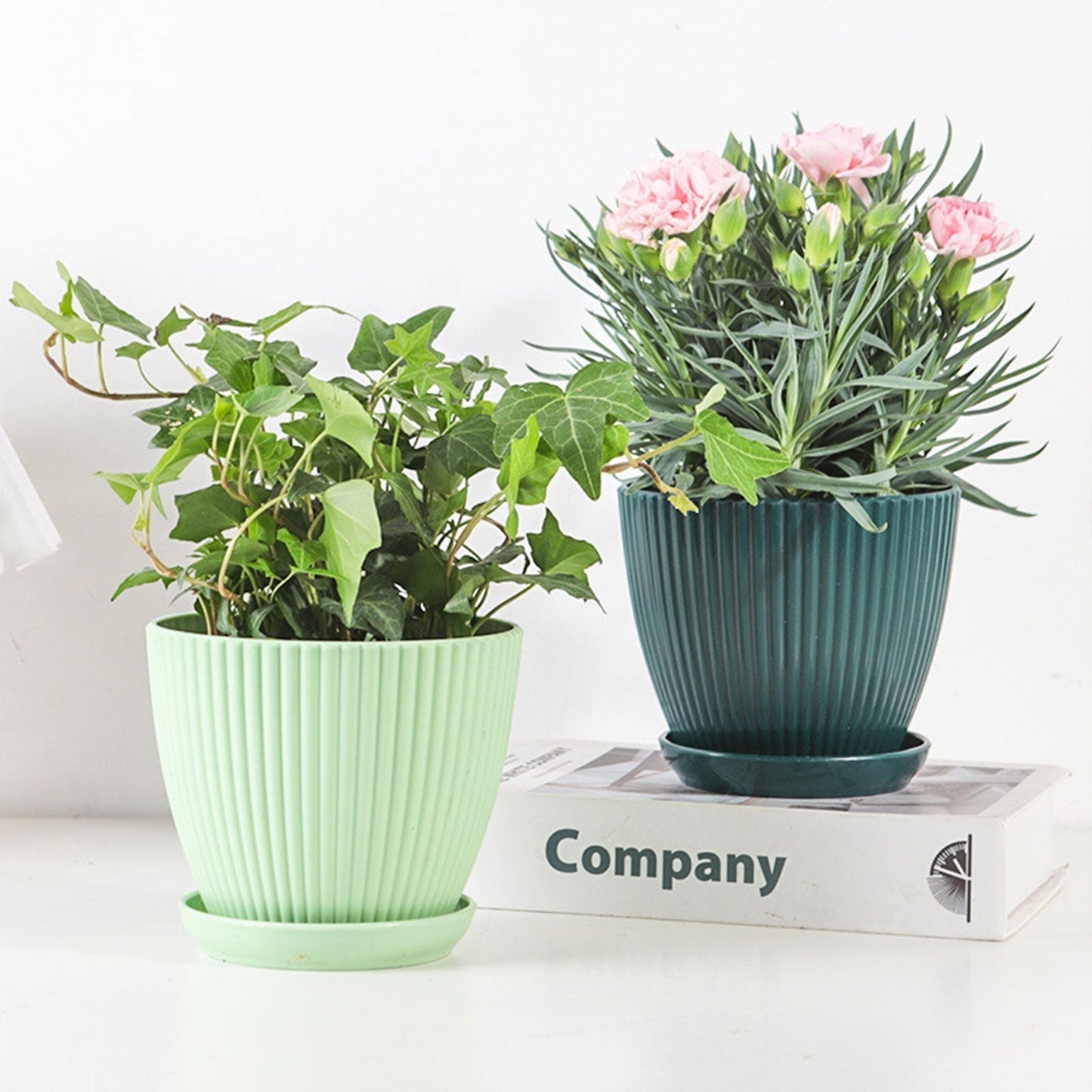 Home Garden Plant Pot With Tray