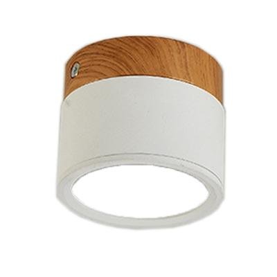 Multi-Color LED Modern Ceiling Lights