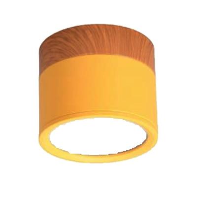 Multi-Color LED Modern Ceiling Lights