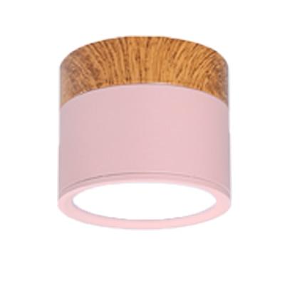 Multi-Color LED Modern Ceiling Lights