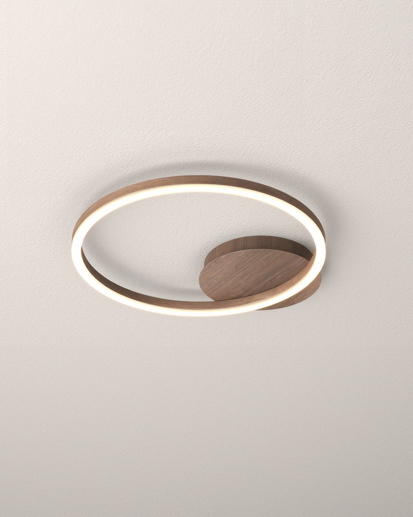 Elegant Ring Ceiling Luminaire