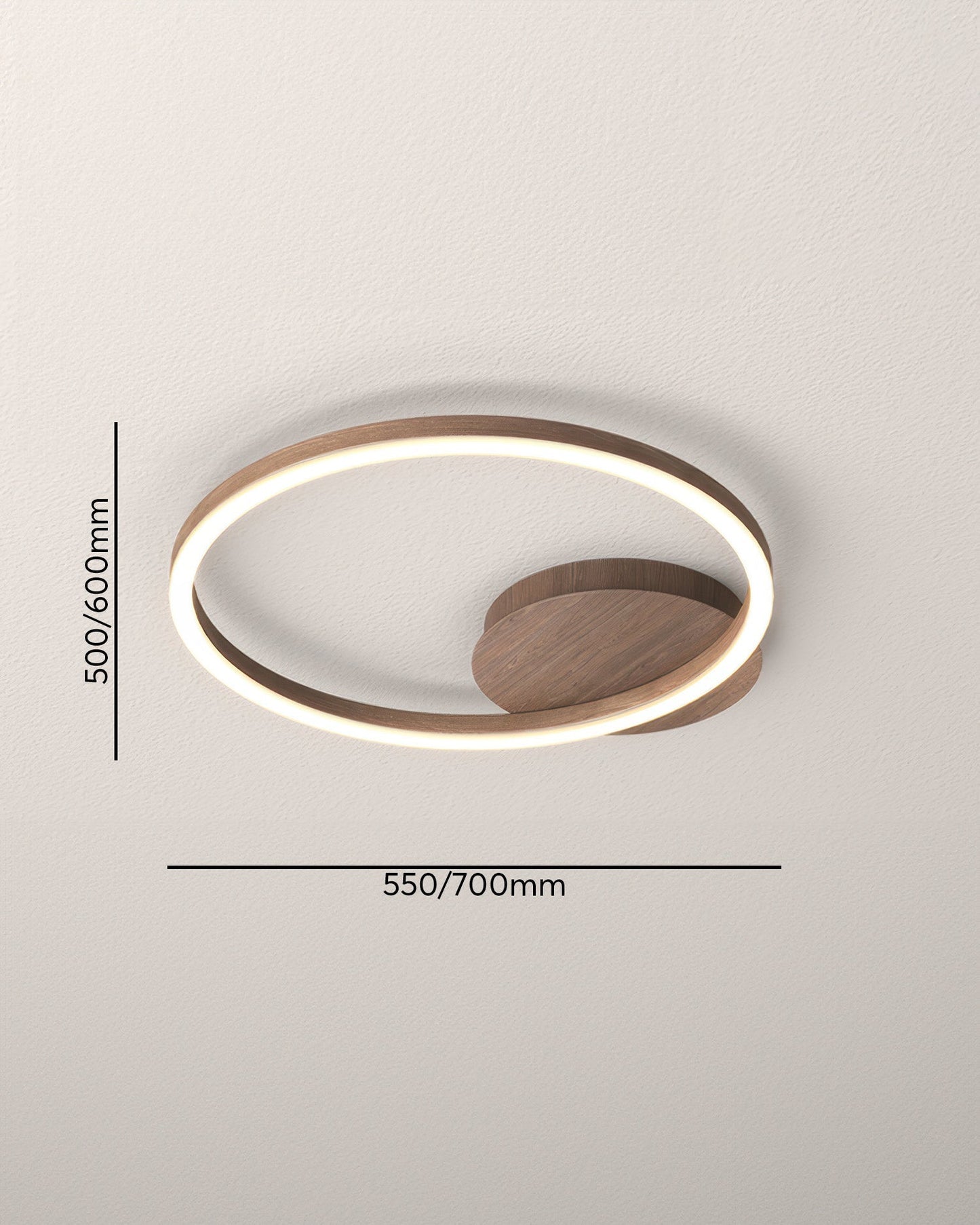 Elegant Ring Ceiling Luminaire