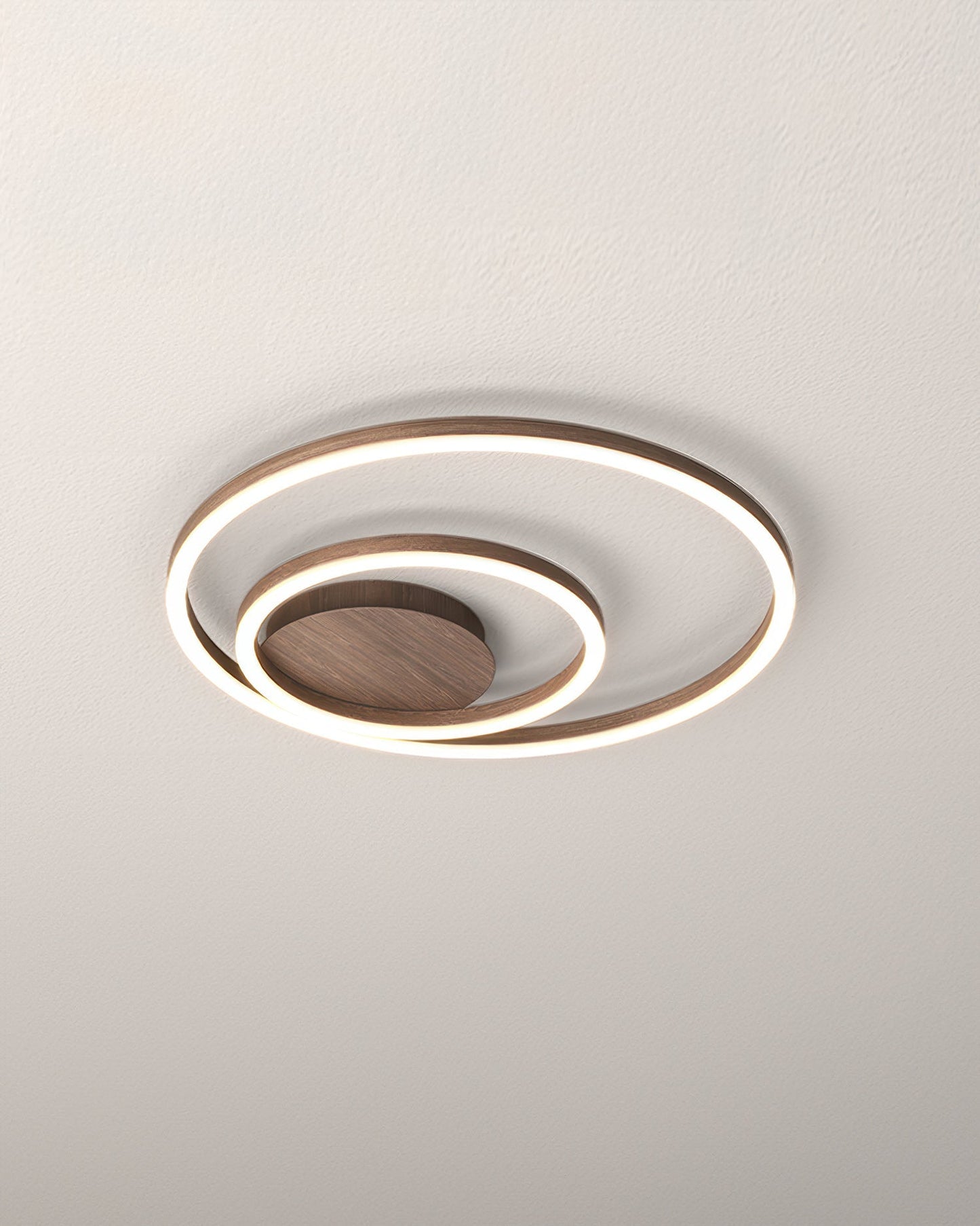 Elegant Ring Ceiling Luminaire