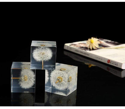 Preserved Flowers Crystals