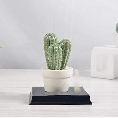 Cactus Pot Decor