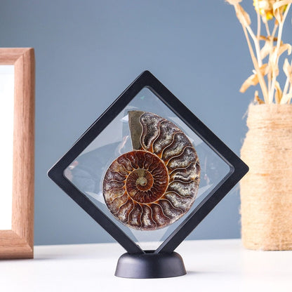 Ammonite Fossil Crystal Ornament