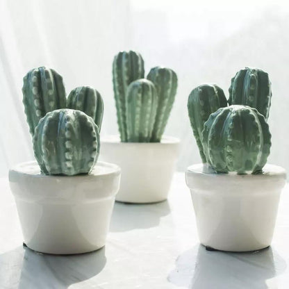 Cactus Pot Decor