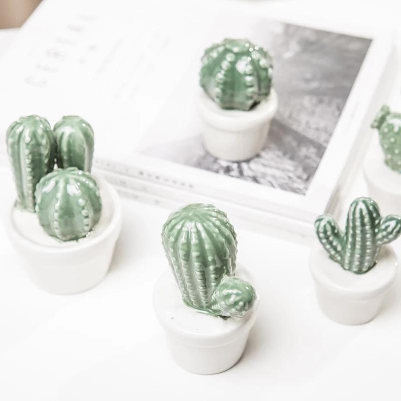 Cactus Pot Decor